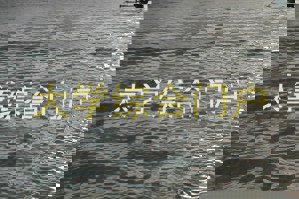 大学综合门户