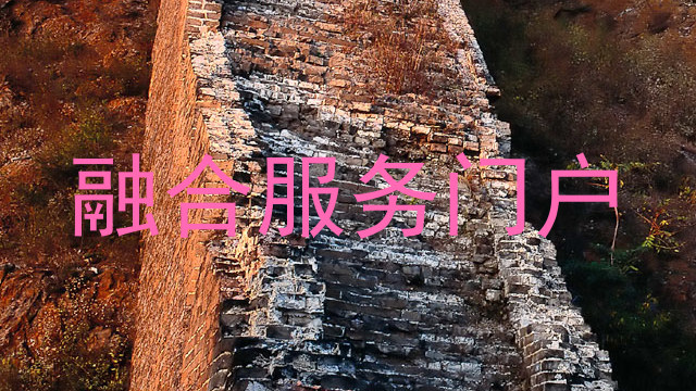 融合服务门户