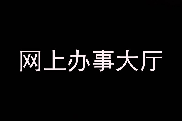 网上办事大厅