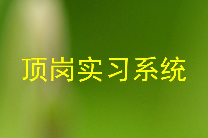 顶岗实习系统