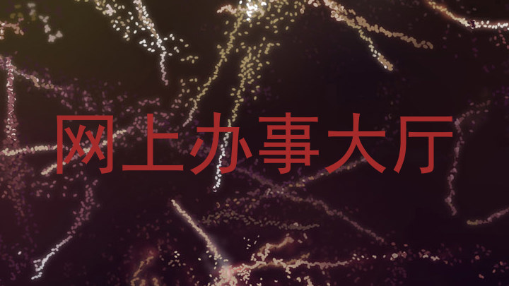 网上办事大厅
