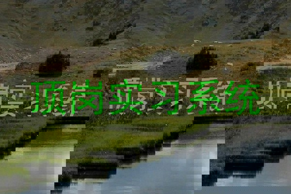 顶岗实习系统