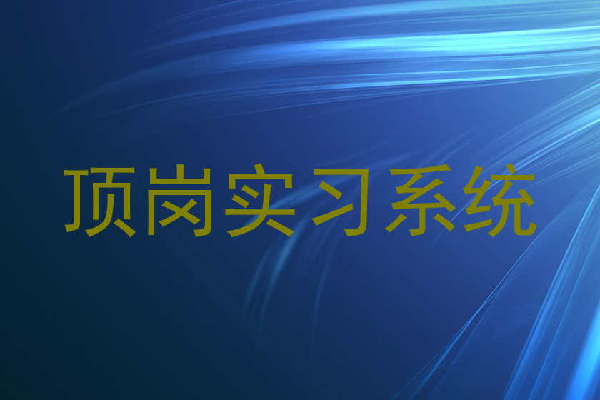顶岗实习系统