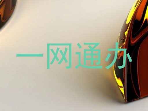 一网通办