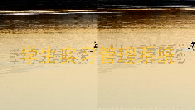 学生实习管理系统