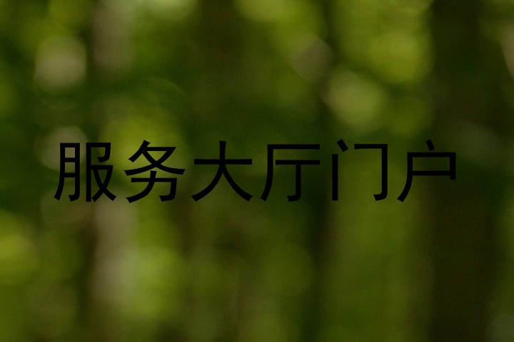 服务大厅门户