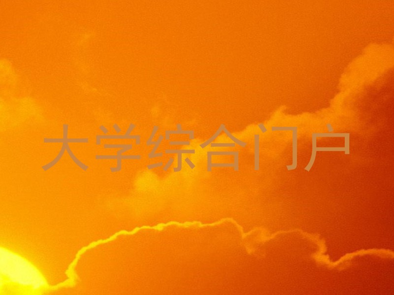 大学综合门户
