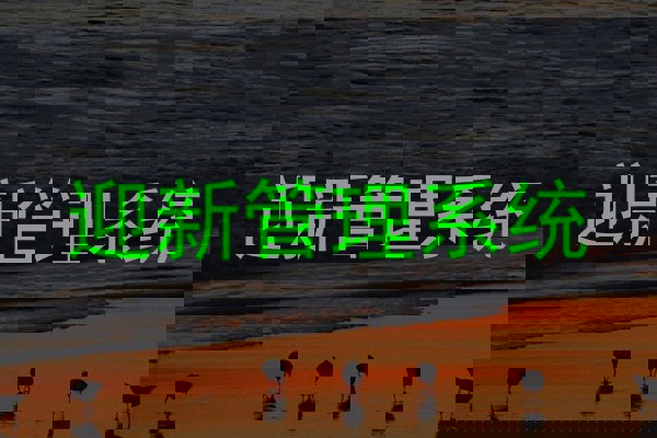 迎新管理系统