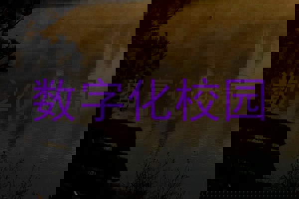 数字化校园