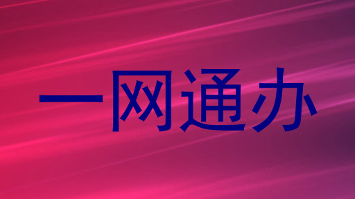 一网通办