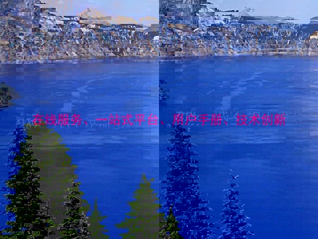 在线服务、一站式平台、用户手册、技术创新