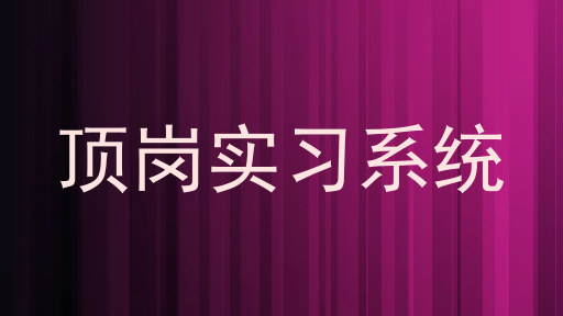 顶岗实习系统