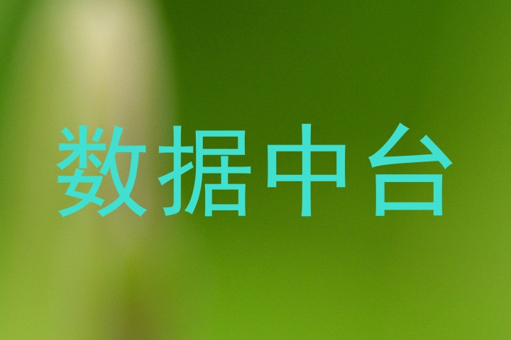 数据中台