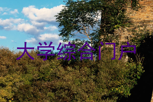 大学综合门户