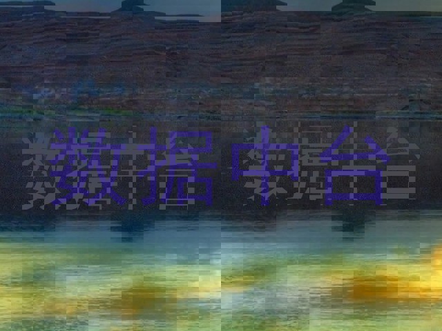 数据中台