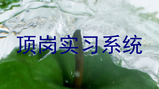 顶岗实习系统