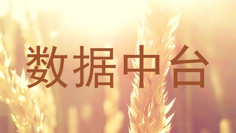 数据中台