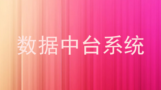 数据中台系统