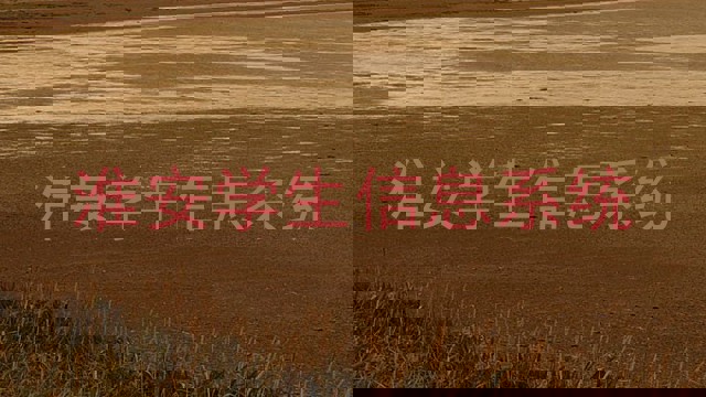 淮安学生信息系统