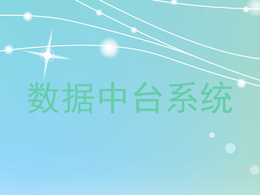 数据中台系统