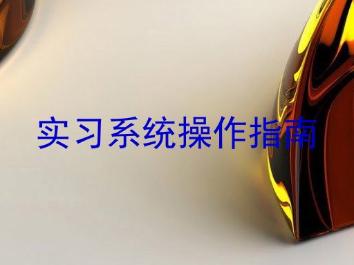 实习系统操作指南