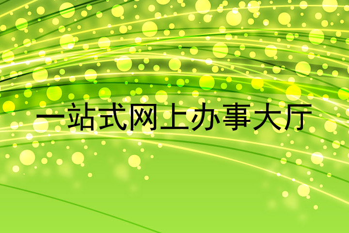 一站式网上办事大厅
