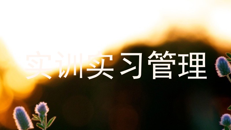 实训实习管理