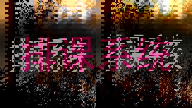 排课系统