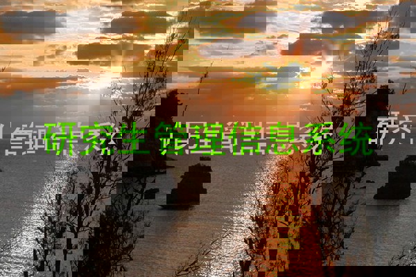 研究生管理信息系统