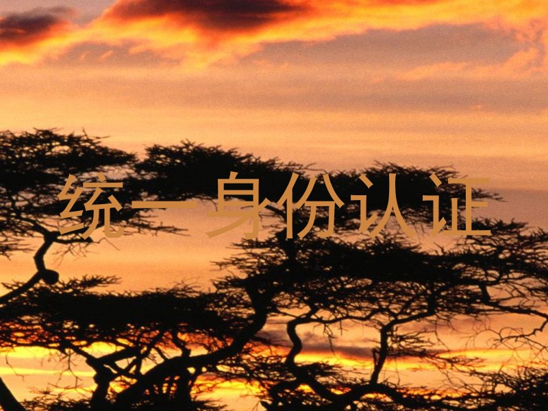 统一身份认证
