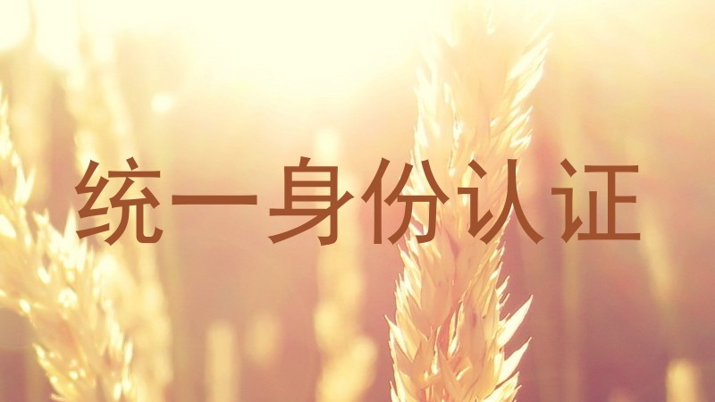 统一身份认证