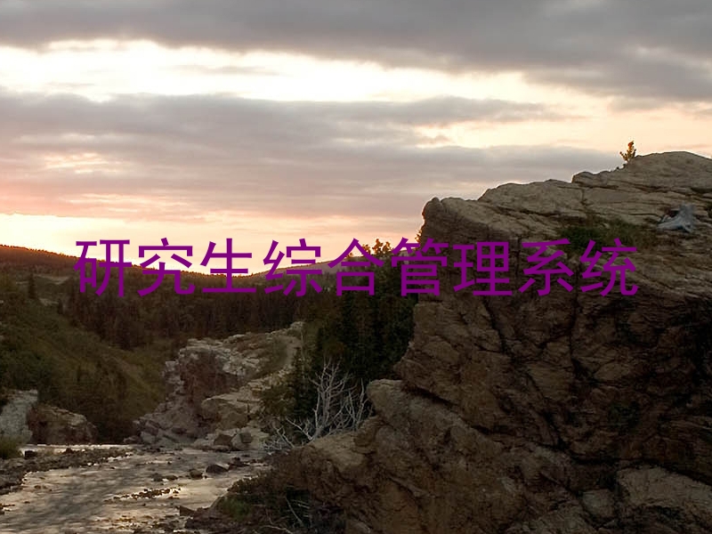 研究生综合管理系统