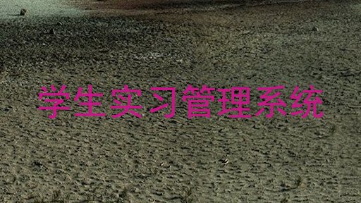 学生实习管理系统