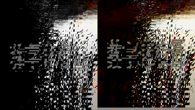 数字化校园