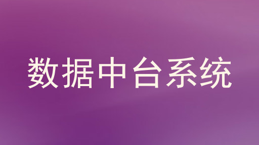 数据中台系统