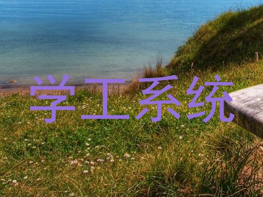 学工系统