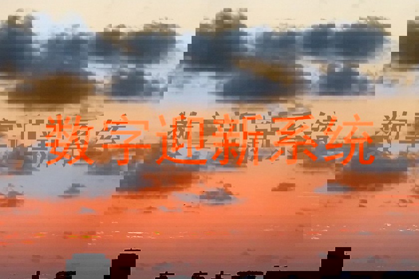 数字迎新系统