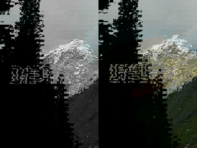 迎新管理信息系统