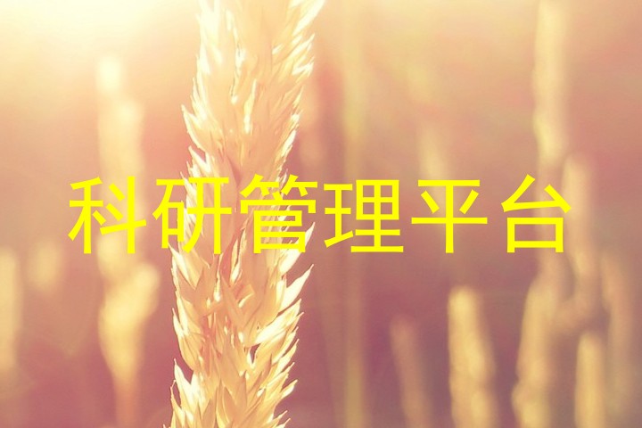 科研管理平台