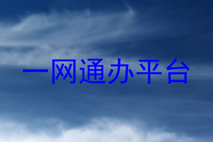 一网通办平台
