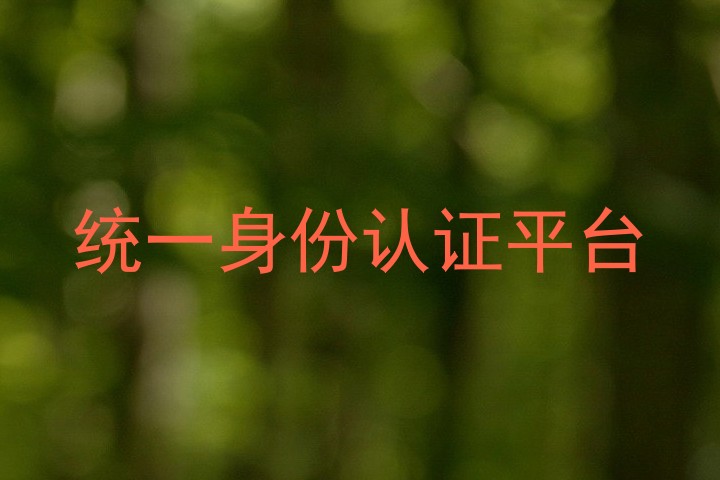统一身份认证平台