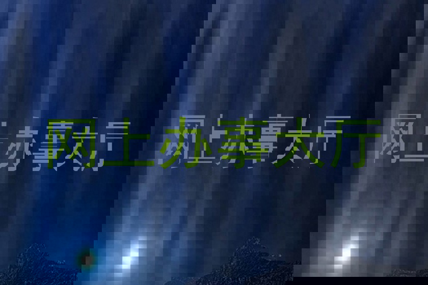 网上办事大厅