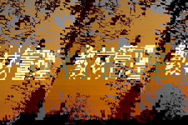 教材管理