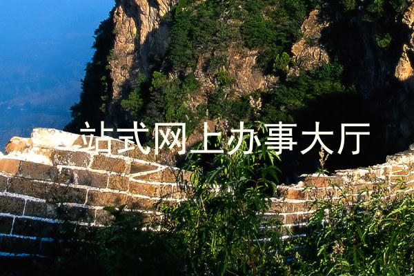 一站式网上办事大厅