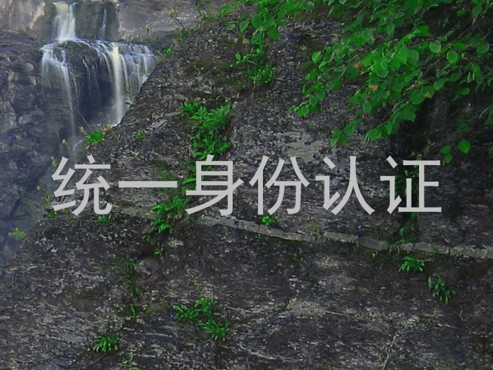 统一身份认证
