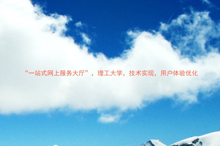 “一站式网上服务大厅”，理工大学，技术实现，用户体验优化
