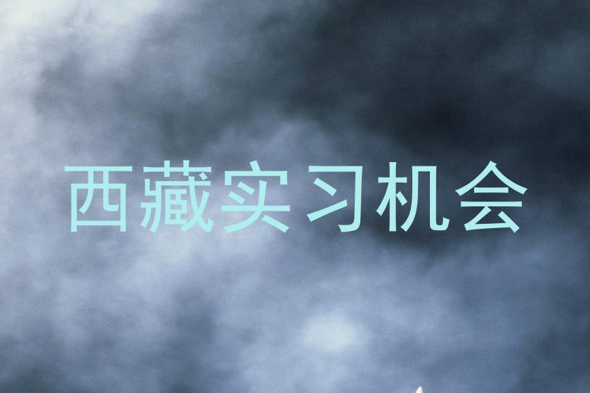 西藏实习机会