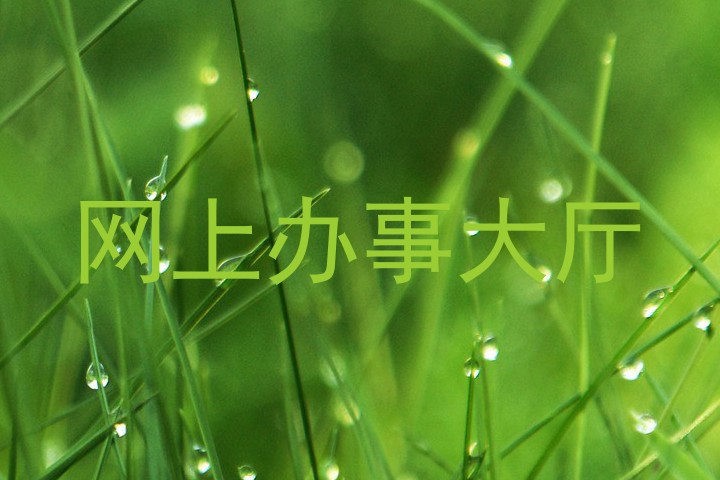 网上办事大厅