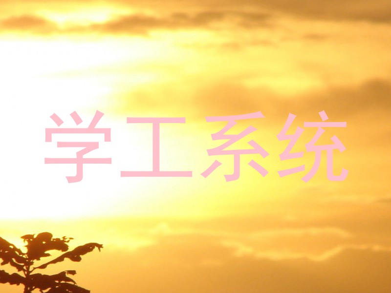 学工系统
