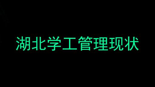 湖北学工管理现状